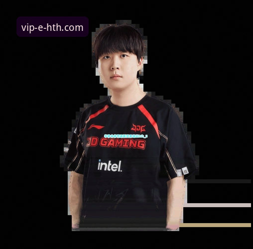 揭秘华体会体育平台：HTH华体会APP下载与高效体验全攻略