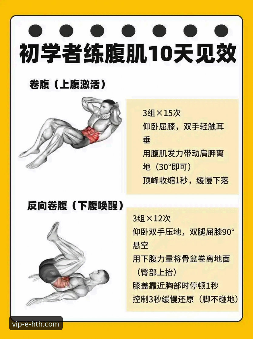 HTH华体会新手教程最新动态：从零开始的体育平台入门指南